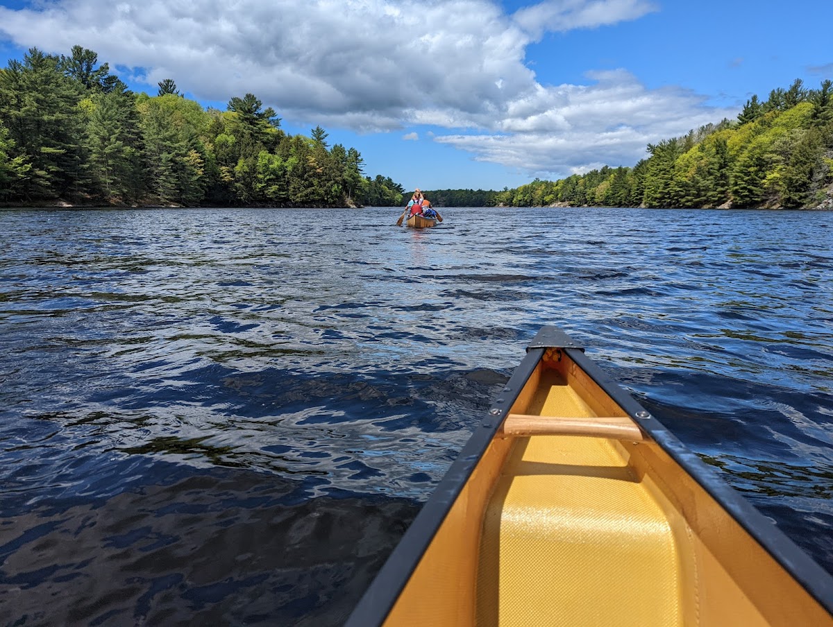 The Massasauga Provincial Park
