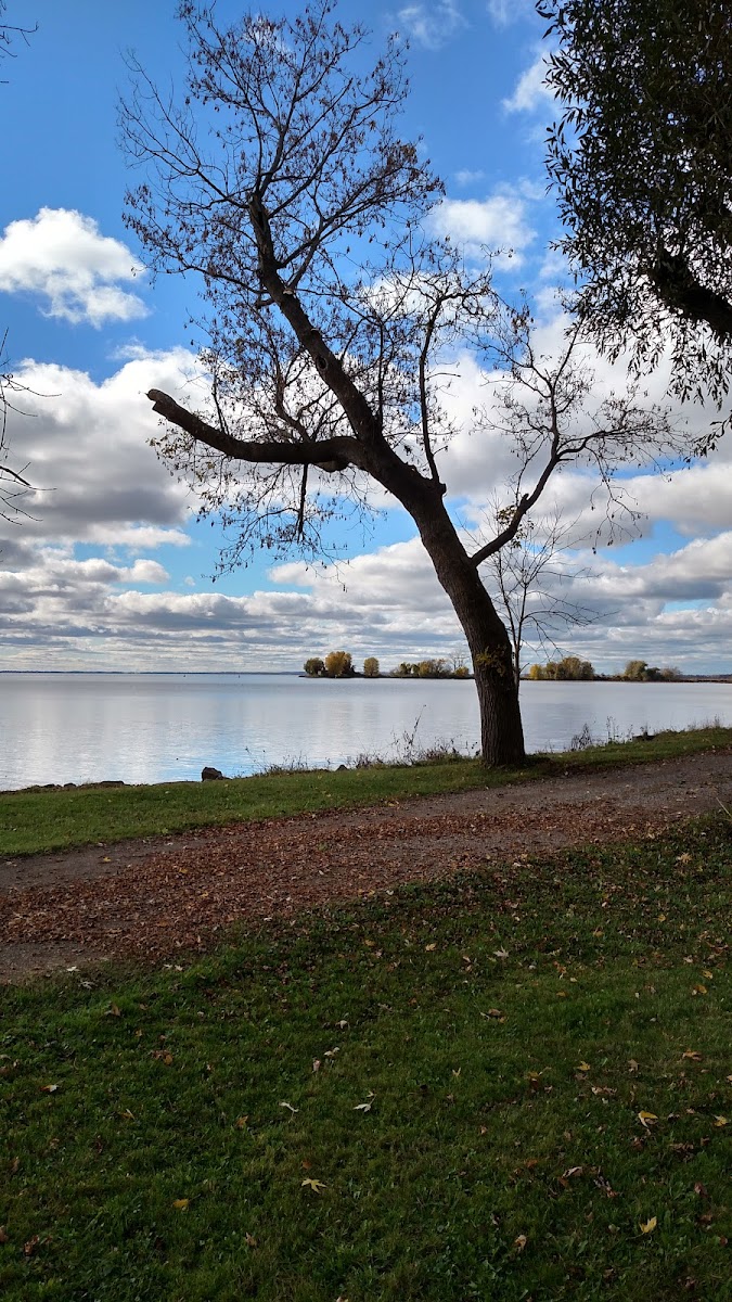 Poygan Lake