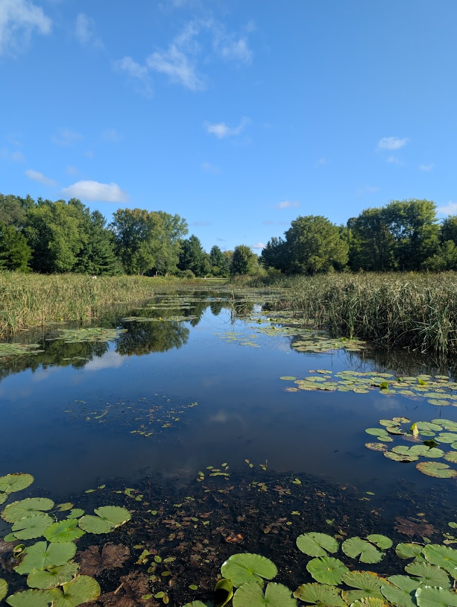 Carpenter Nature Center