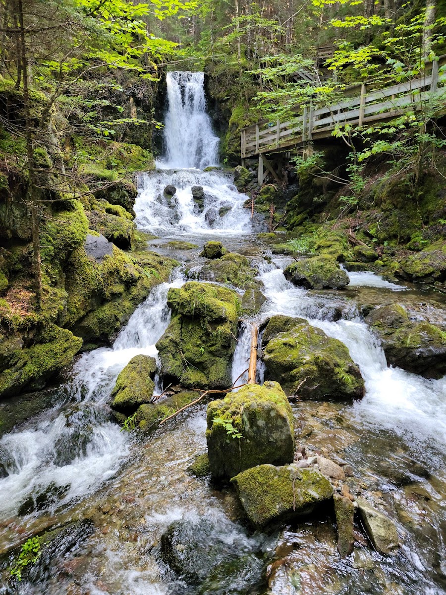 Dickson Falls