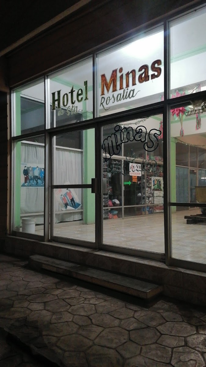 Hotel Minas