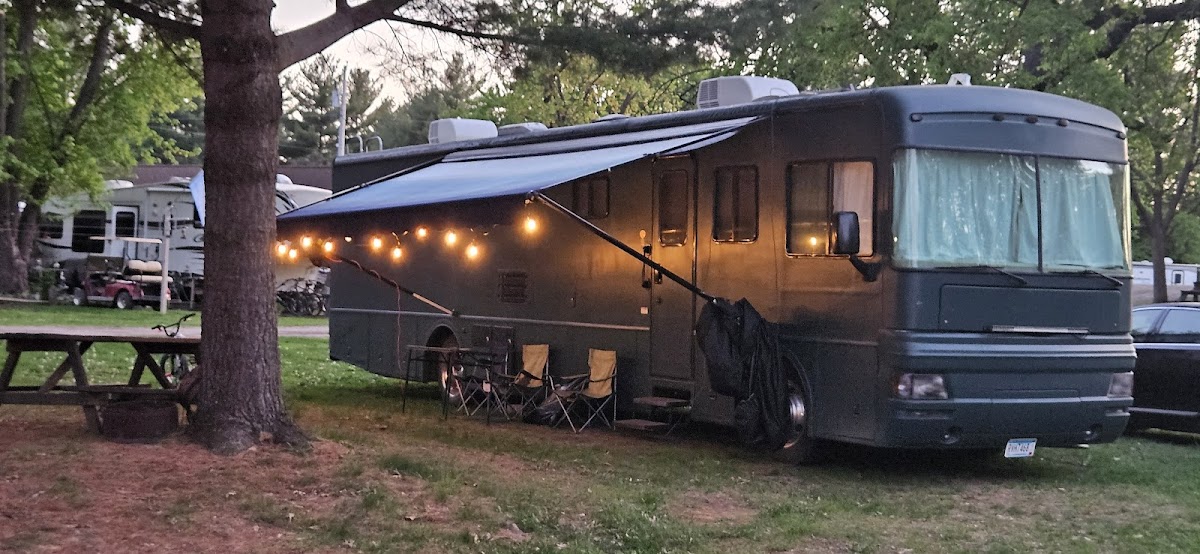 Pioneer Campsite Resort photo 3