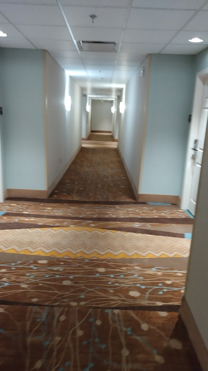 Hilton photo 2