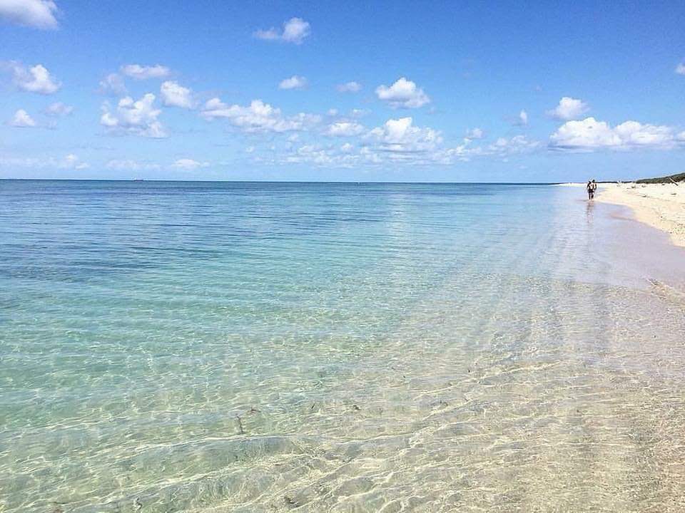 Isla de Enmedio