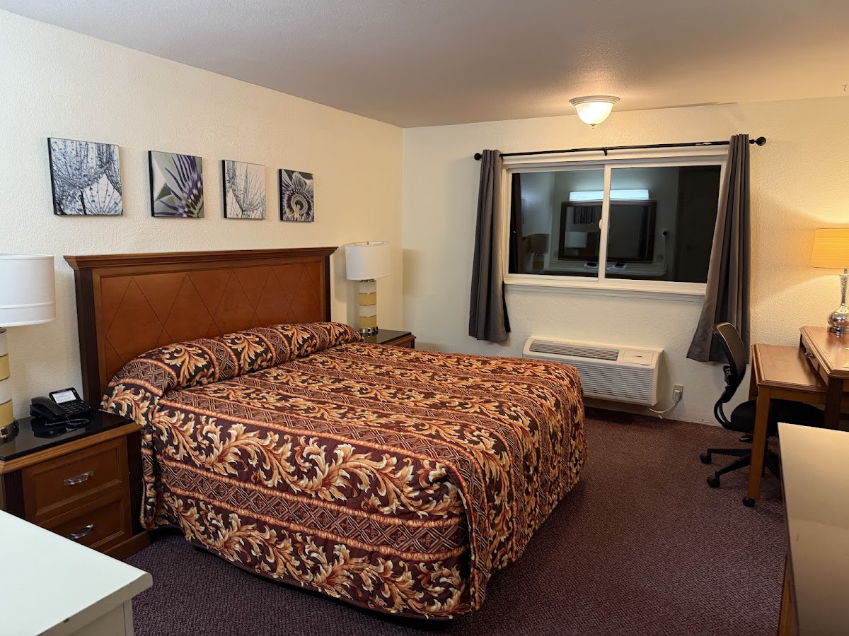 Bayview Inn photo 2