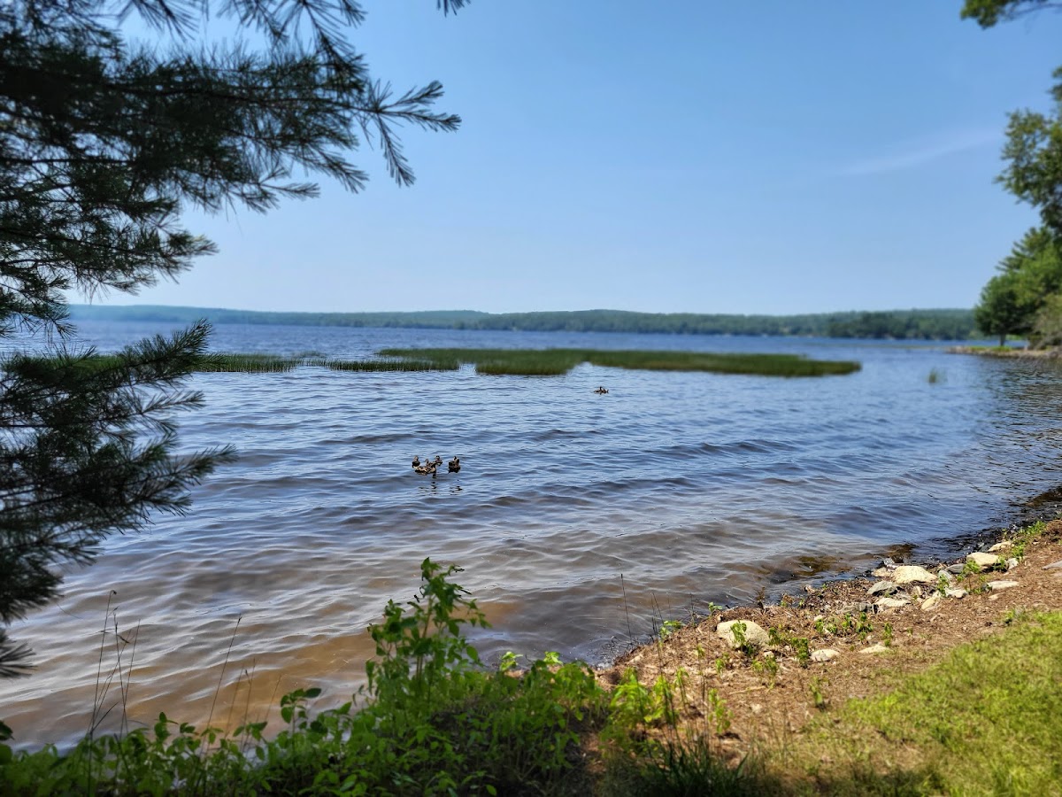 Damariscotta Lake State Park