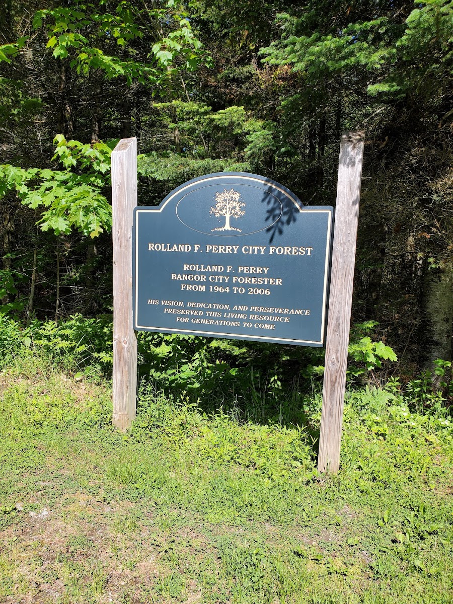 Bangor City Forest