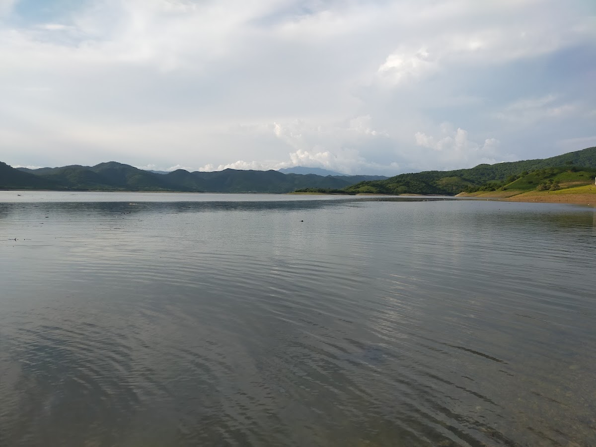 Palos Altos