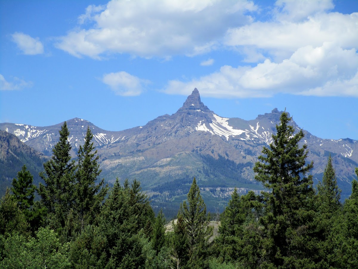 Index Peak