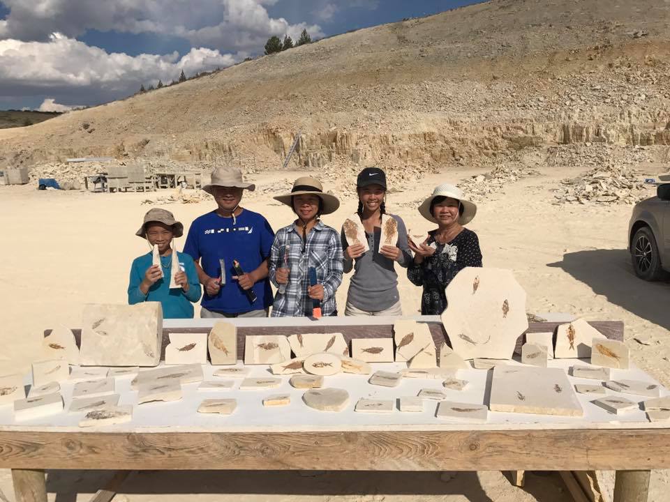 American Fossil Quarry