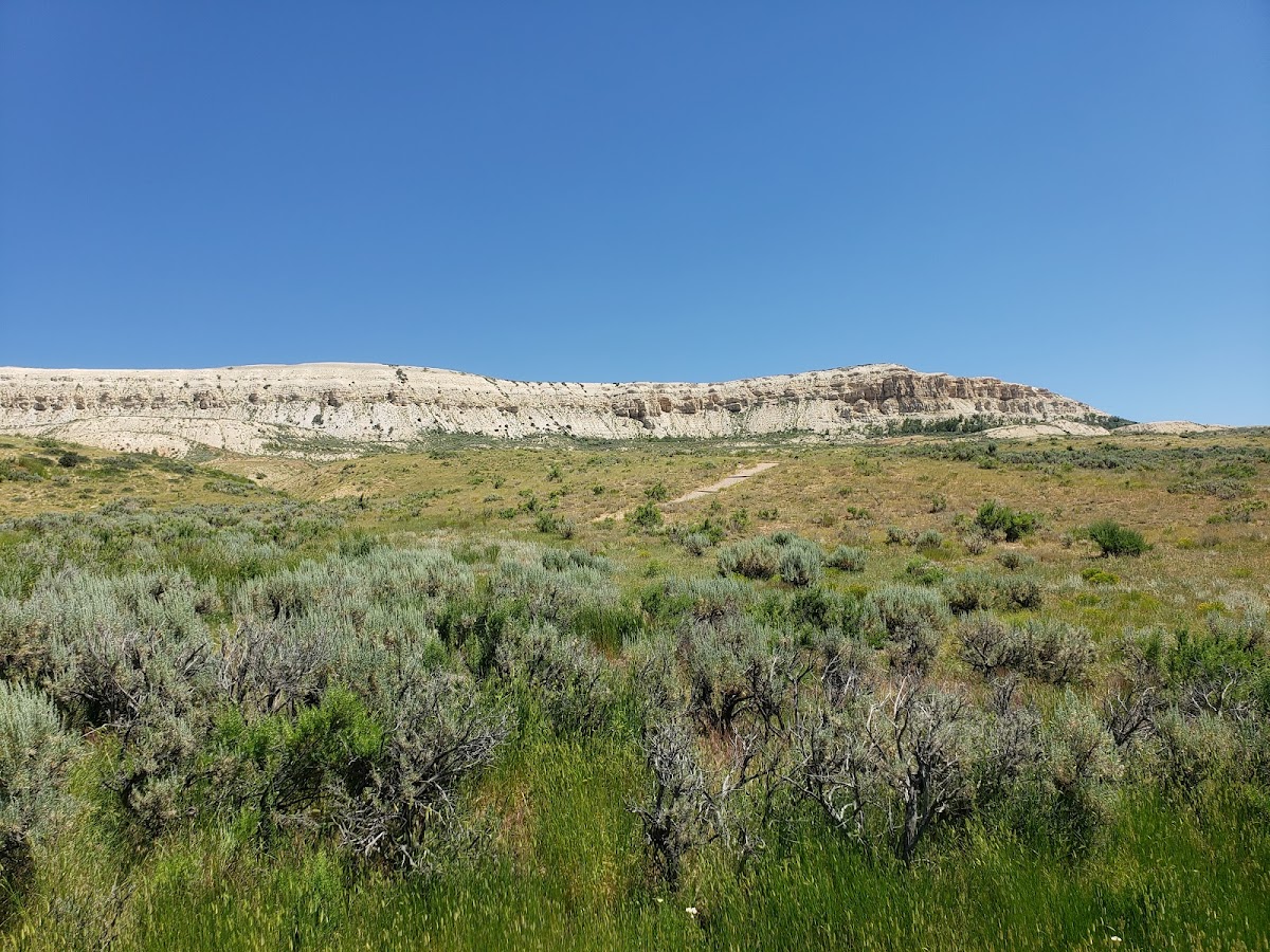 Fossil Butte