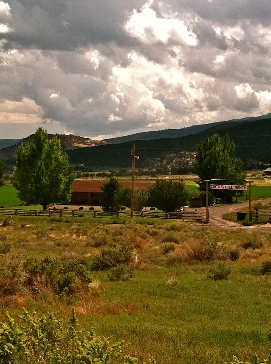 Cactus Hill Ranch Motel photo 3
