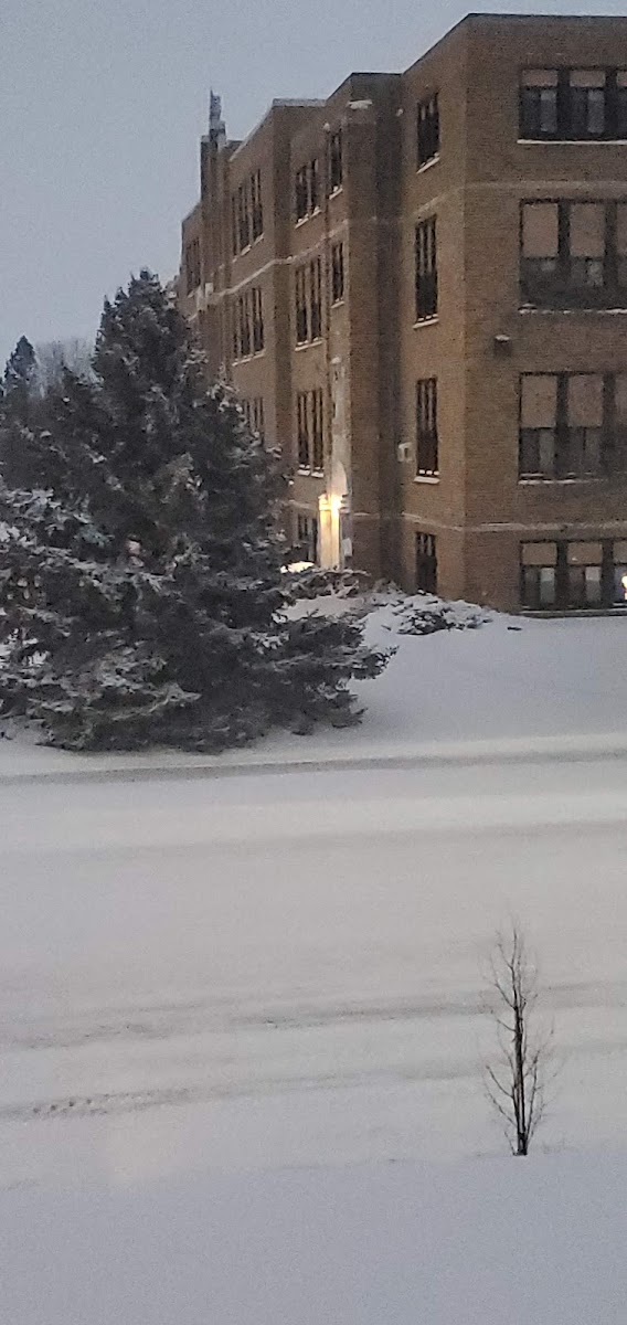 Hankinson Inn photo 3