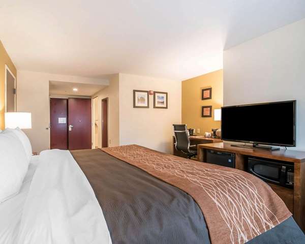 Comfort Inn & Suites Brattleboro I-91 photo 2