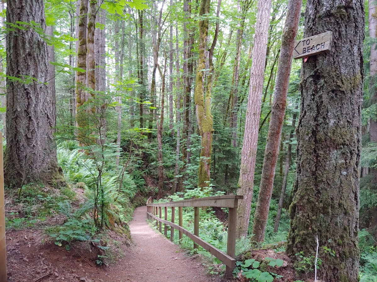 Seal Bay Regional Nature Park