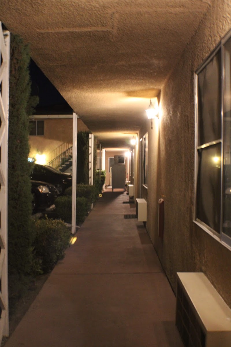 Star Inn photo 3