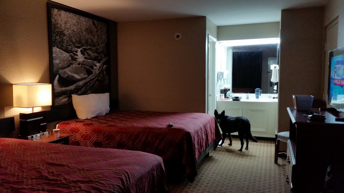 Super 8 - Manchester TN photo 2