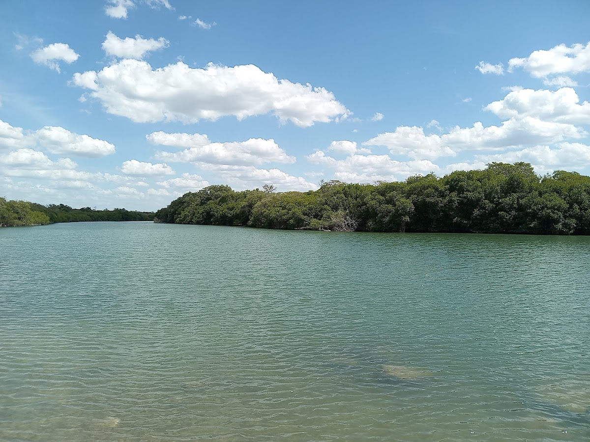 Champoton River
