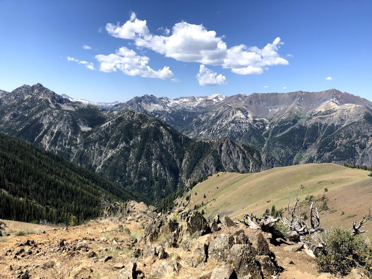 Wallowa-Whitman National Forest