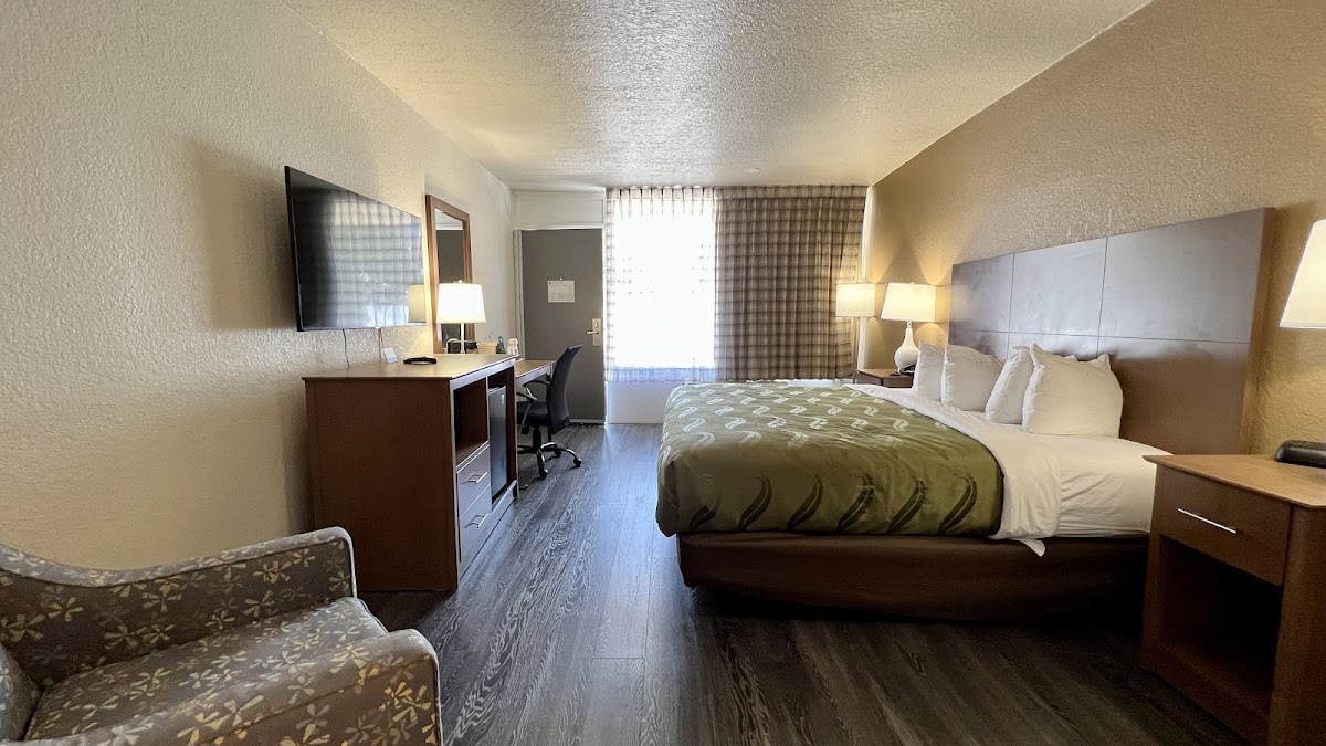 Quality Inn Saint Petersburg North-Tampa Bay photo 2