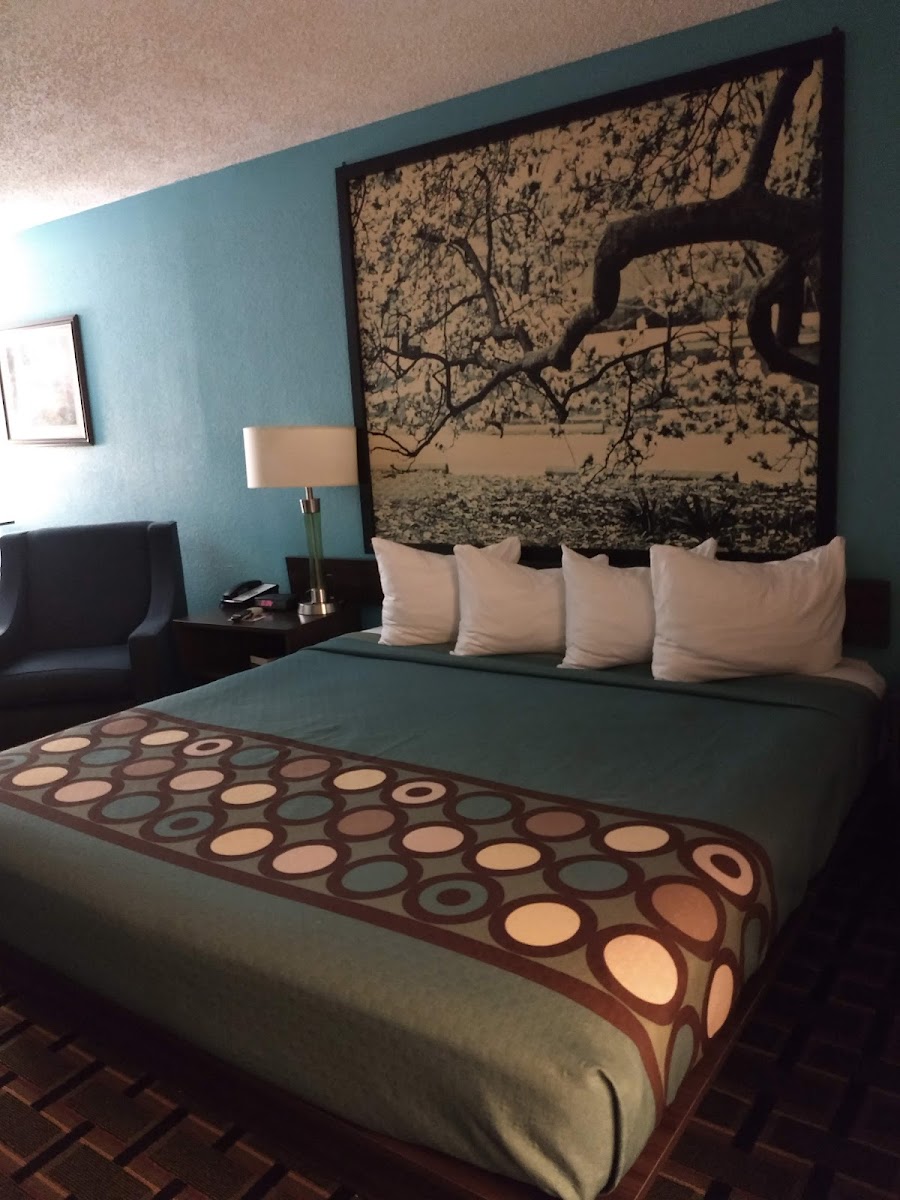 Super 8 by Wyndham Brunswick South/I-95 photo 3