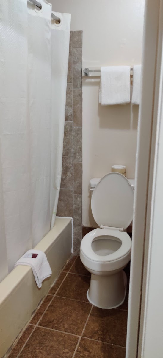 Room 4