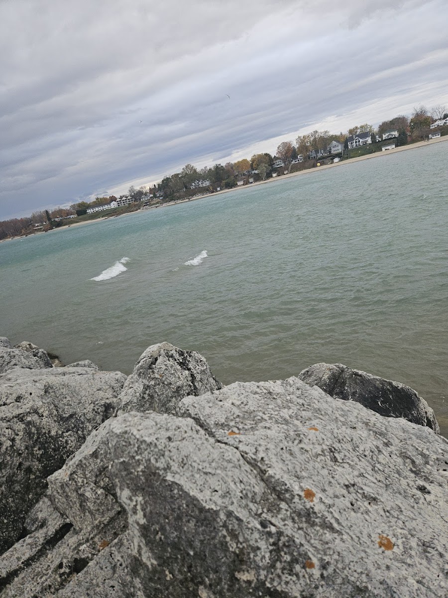 Tierney Park