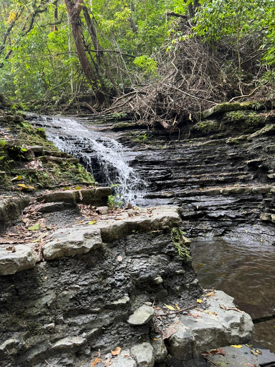 Agua Selva