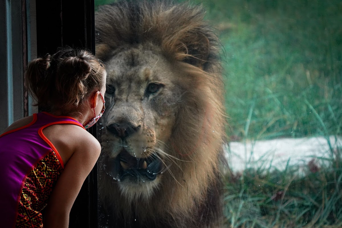 Binder Park Zoo