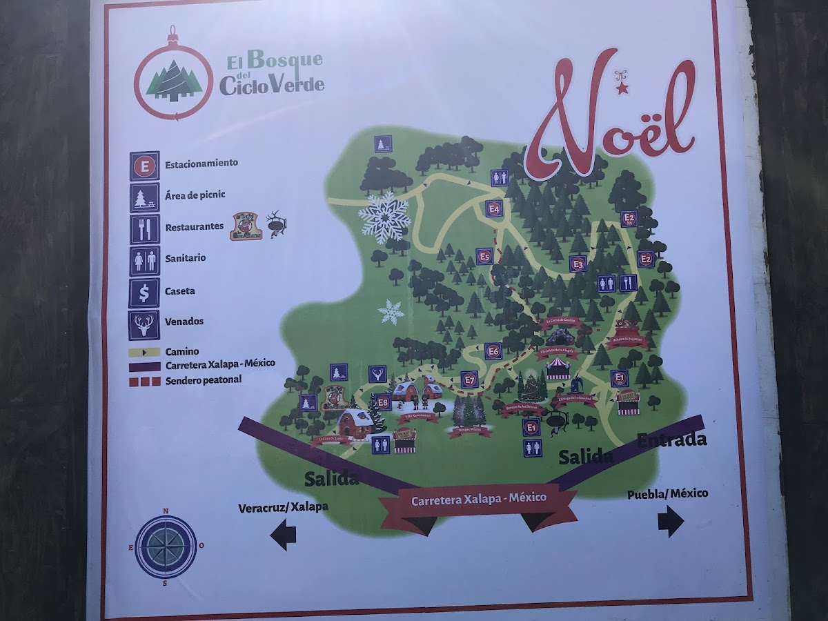 Bosque del Ciclo Verde