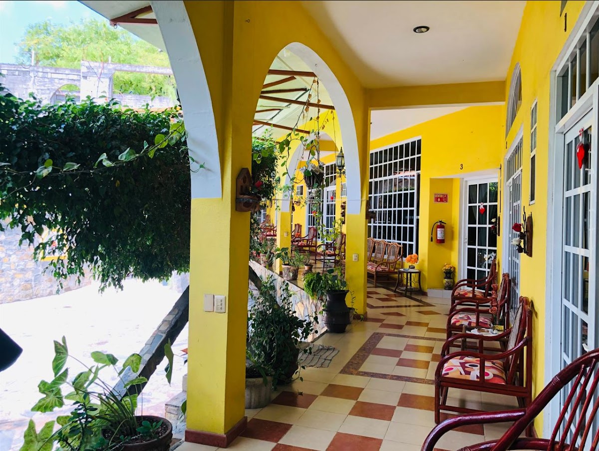 Hotel Magic Collinn