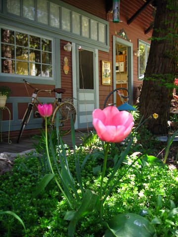 Ada's Place photo 3