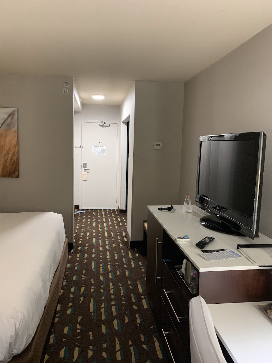Wyndham Chicago O'Hare photo 2