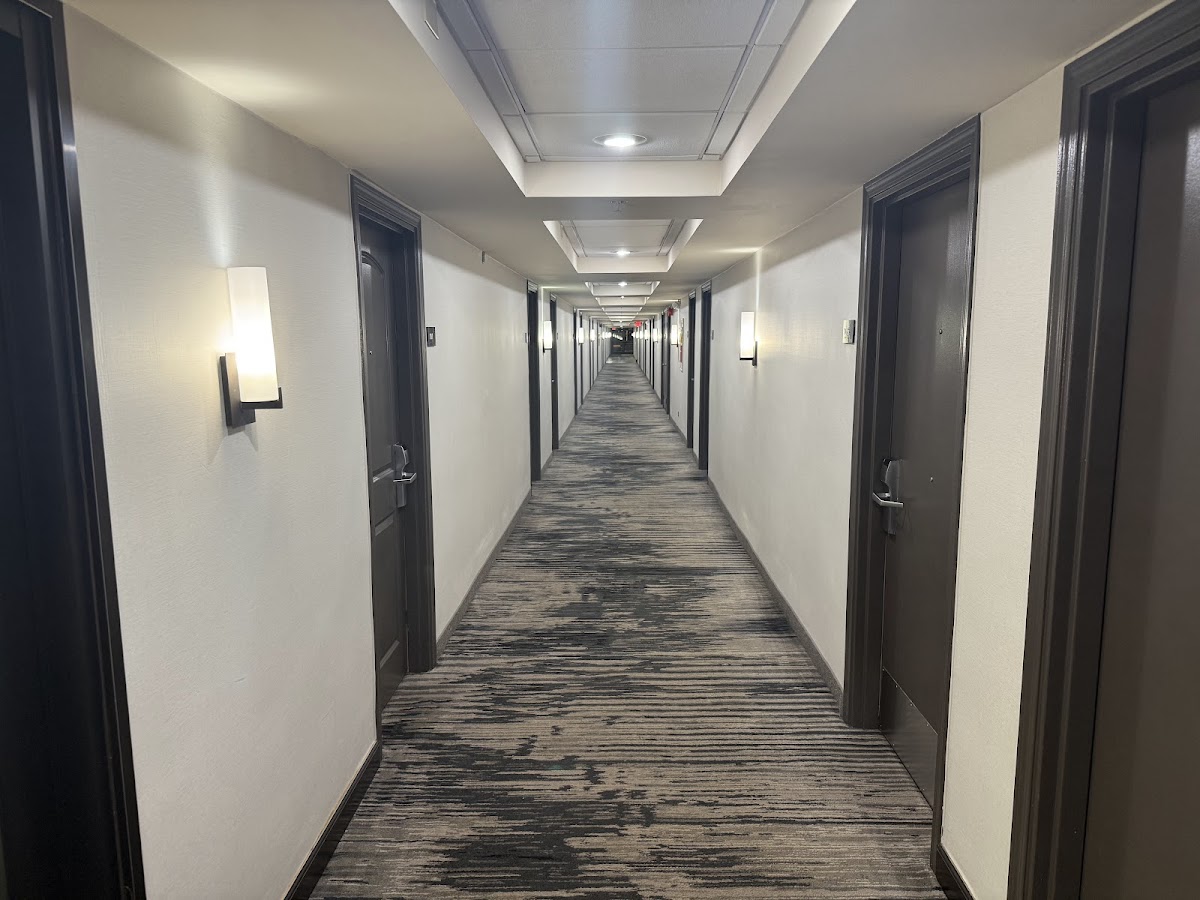 Wyndham Chicago O'Hare photo 3