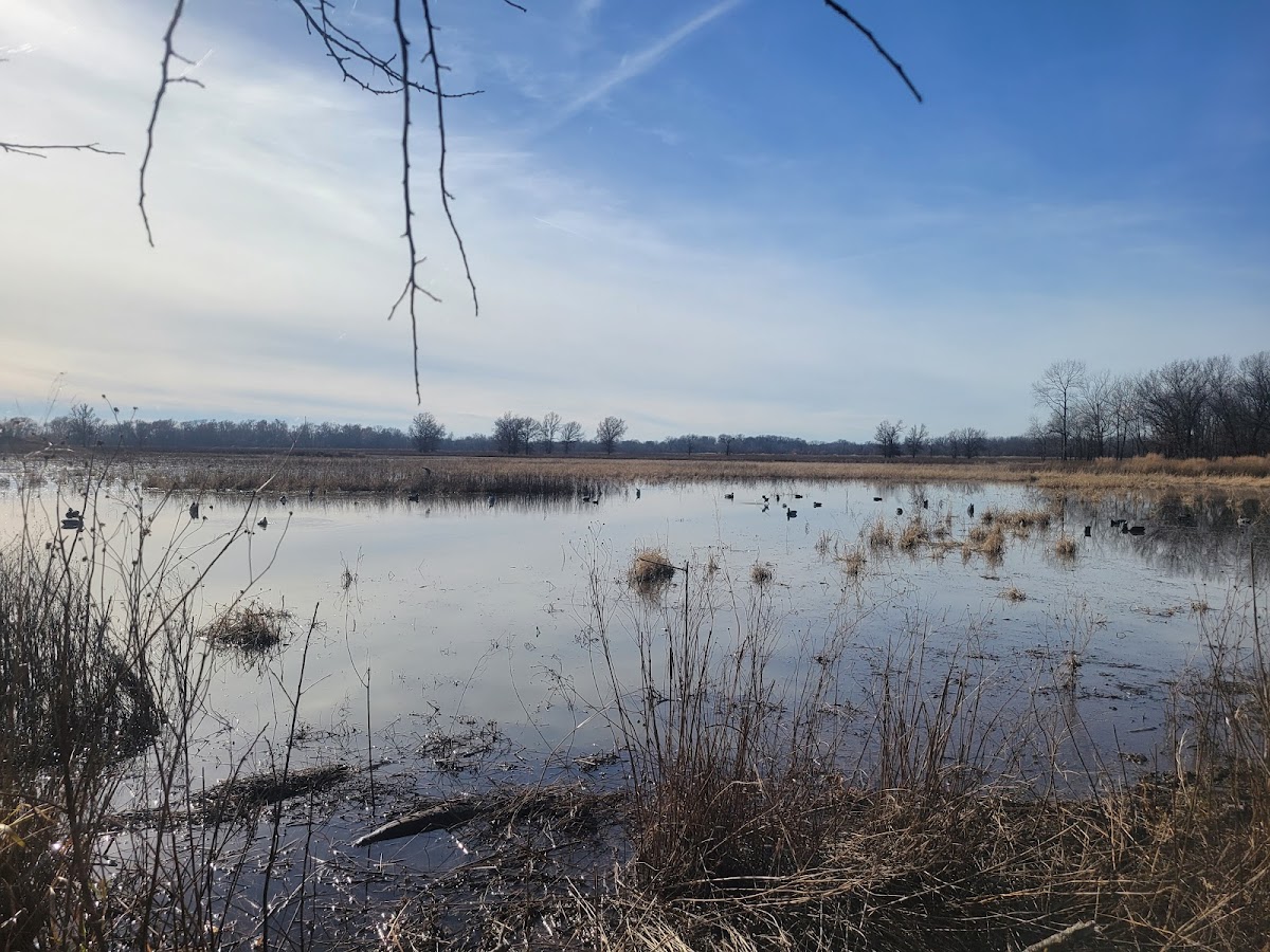 Neosho Wildlife Area