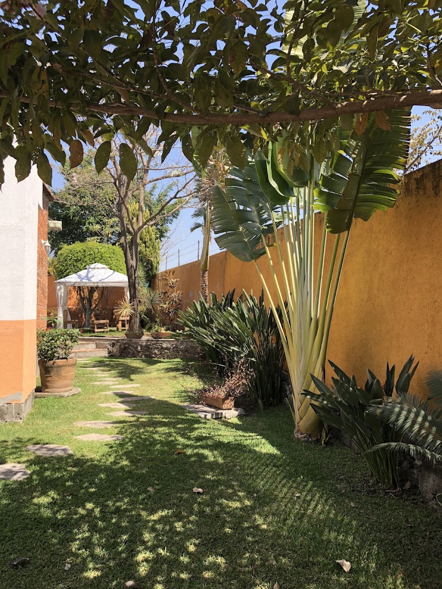 Hotel El Naranjo photo 3