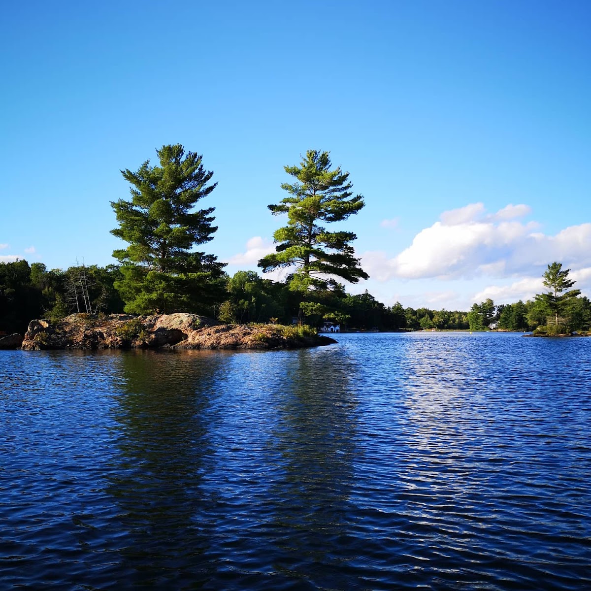 Shadow Lake