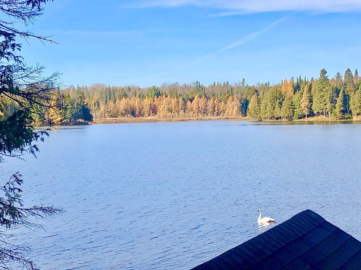 Balsam Lake