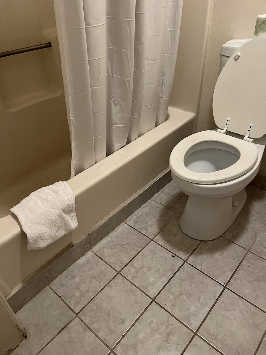 Room 4