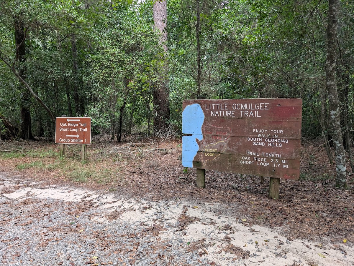 Little Ocmulgee State Park cabin