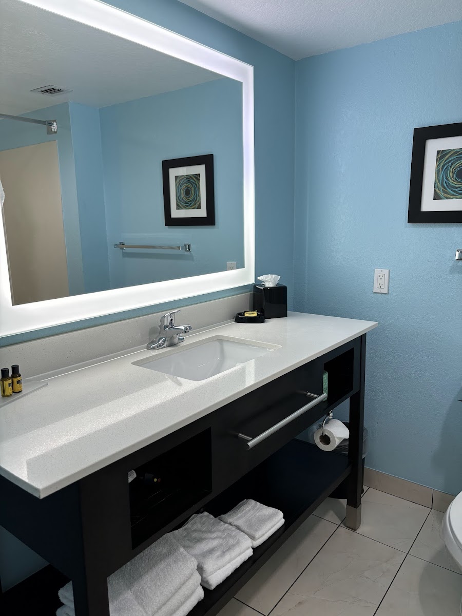 Best Western Plus Orlando Lake Buena Vista South Inn & Suites photo 3