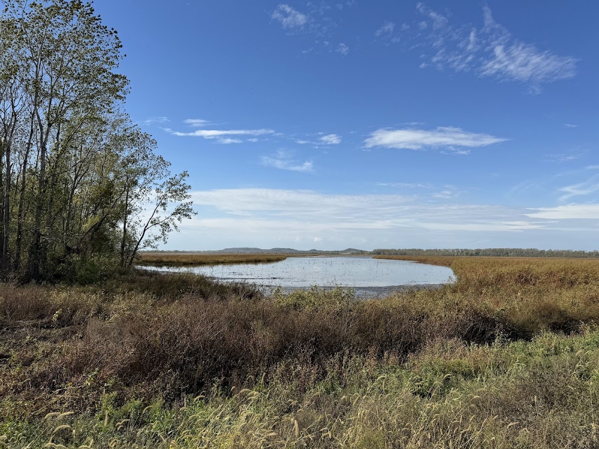 Clarence Cannon National Wildlife Refuge