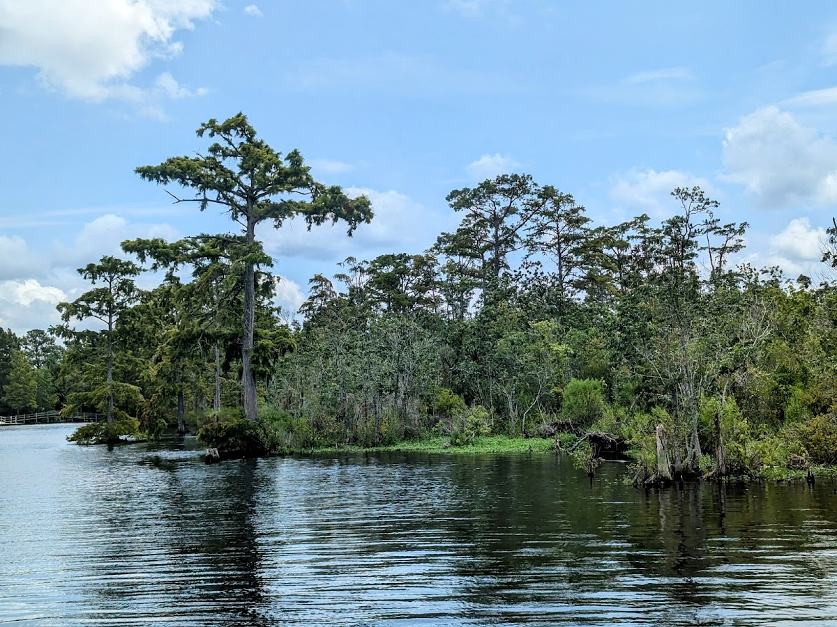 Pocosin Lakes National Wildlife Refuge