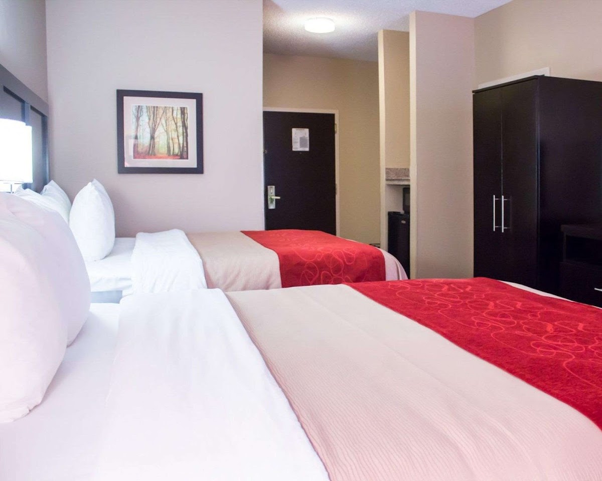 Comfort Inn & Suites Trussville I-59 Exit 141 photo 3