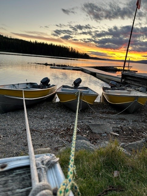 Spruce Wilderness Lodge photo 2