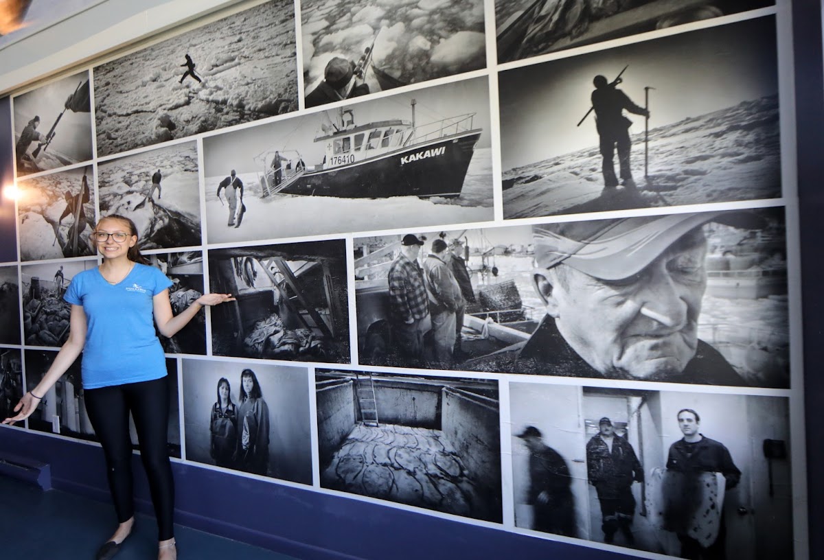 Seal Interpretive Center