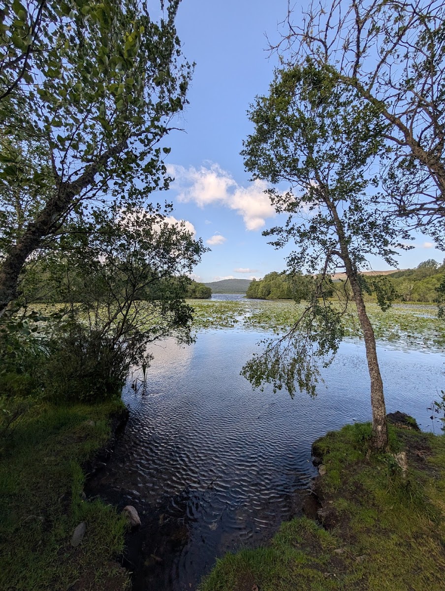 Loch Kinord