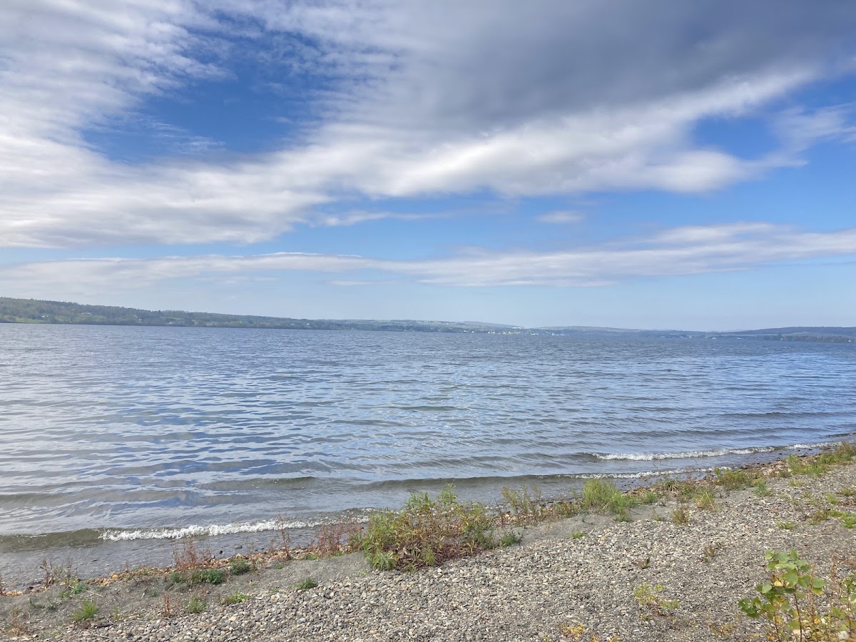 Birch Point Beach
