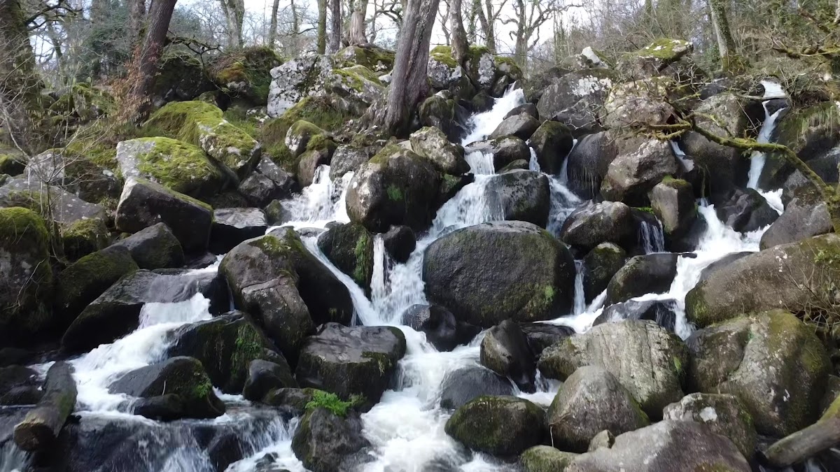 Becky Falls Ancient Woodland Park