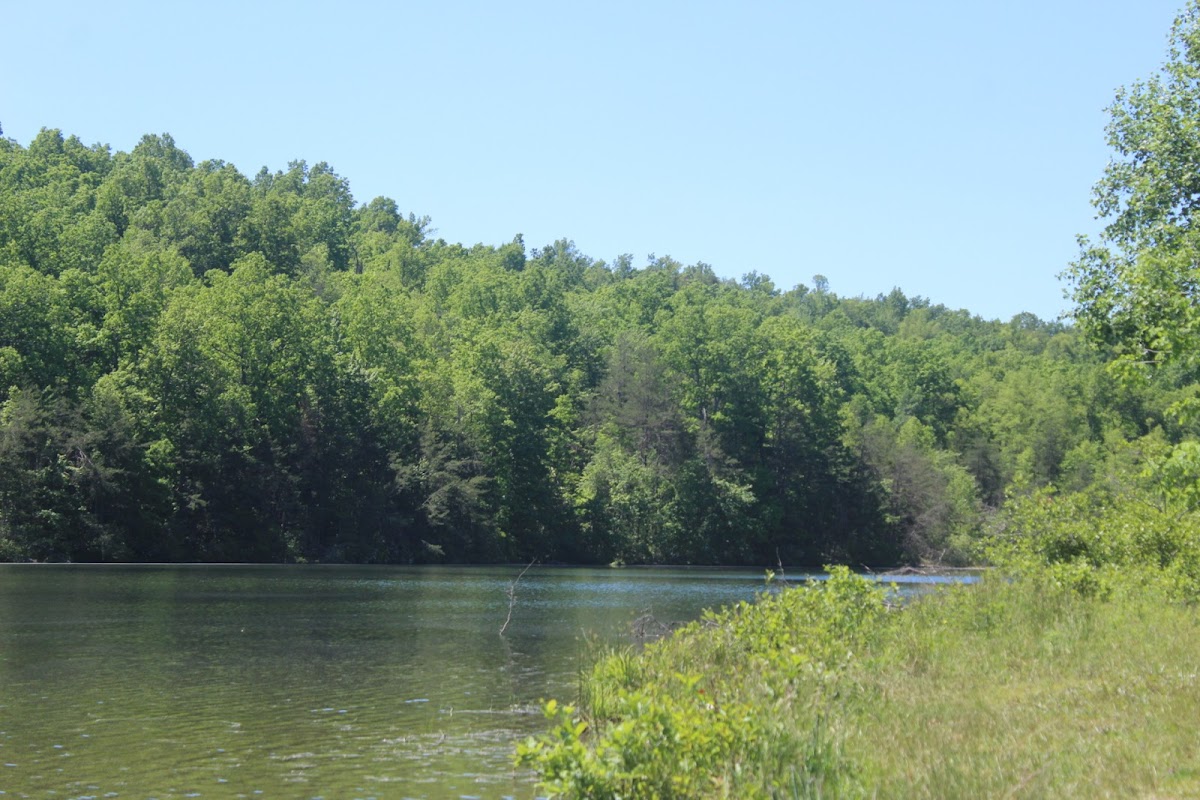 Meadow Creek Park